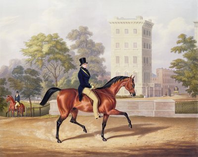 Marquis of Anglesea na koniu w Hyde Parku, w 80. roku życia, grawerowany przez J. Harrisa, 1847 (kolor grawerowany) autorstwa George Henry Laporte