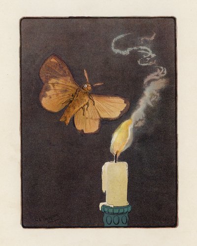 Ćma (kolorowa litografia) autorstwa George Henry Thompson