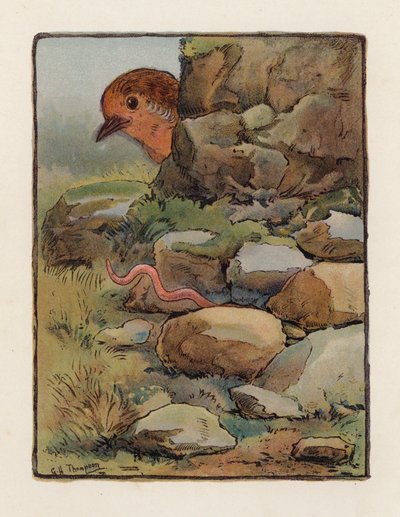 Robak (kolorowa litografia) autorstwa George Henry Thompson
