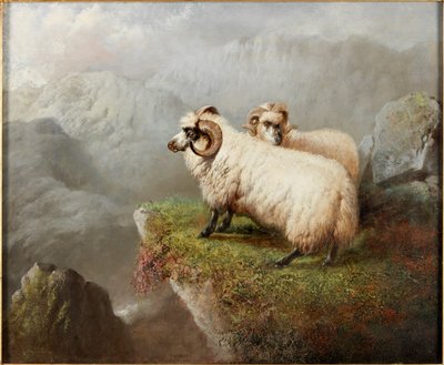 Owce na krawędzi klifu, ok. 1865-68 autorstwa George Hepper