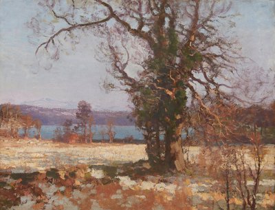 Zimowe słońce (olej na płótnie) autorstwa George Houston