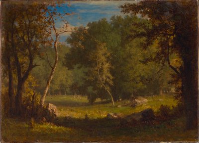 Elf Ground autorstwa George Inness