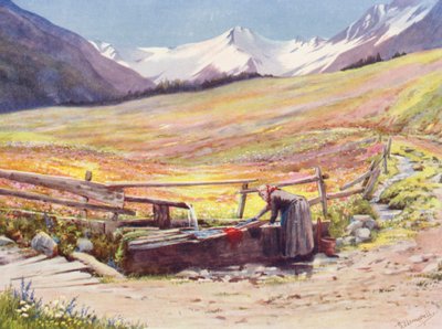 Wczesne czerwcowe pola za Praz de Fort w Val Ferret, wspierane przez Groupe du Grand Saint-Bernard et du Grand Golliaz (kolorowa litografia) autorstwa George Jackson Flemwell