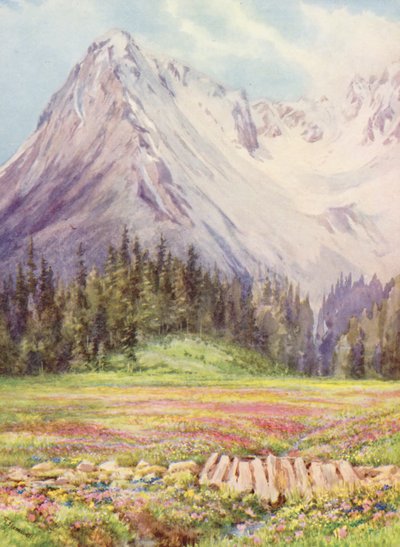 Gentiana verna i Primula farinosa na niższych polach Champex pod koniec maja, z częścią masywu Saleinaz w tle (kolorowa litografia) autorstwa George Jackson Flemwell