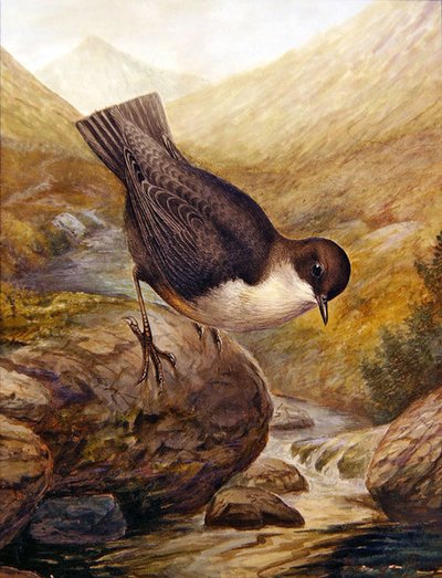 Wóz (akwarela na papierze) autorstwa George James Rankin