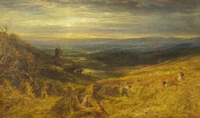 Surrey Cornfield, c.1877 (olej na płótnie) autorstwa George Lucas