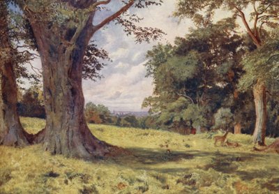 Polana w Windsor Great Park (kolorowa litografia) autorstwa George Moore Henton
