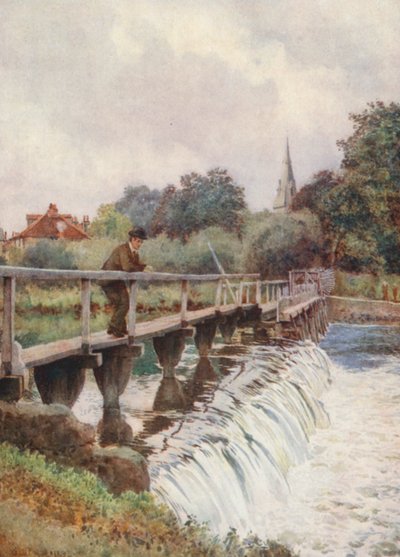 Stary jaz (kolorowa litografia) autorstwa George Moore Henton