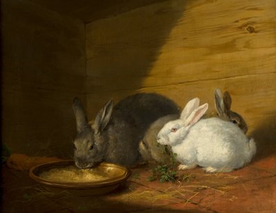 Króliki autorstwa George Morland