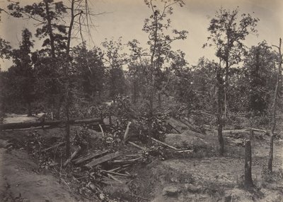 Pole Bitwy pod Atlantą, Georgia, 22 lipca 1864 nr 1, lata 60. XIX wieku. autorstwa George N. Barnard