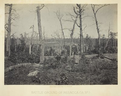 Pole bitwy pod Resacca, GA, nr 3, 1866. autorstwa George N. Barnard