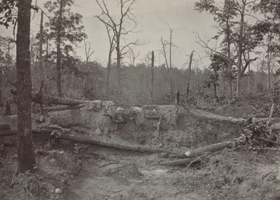 Pole bitwy pod kościołem New Hope, Georgia, nr 2, 1865-1866. autorstwa George N. Barnard