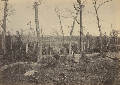 Pole bitwy pod Resaca, Georgia, nr 3,1864 (zdjęcie) autorstwa George N. Barnard
