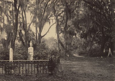 Bonawentura, Savannah, Georgia, lata 60. XIX wieku. autorstwa George N. Barnard