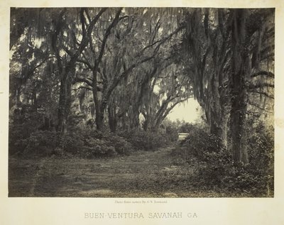 Buen-Ventura Savannah, Ga. autorstwa George N. Barnard