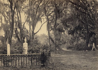  autorstwa George N. Barnard