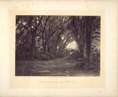 Buen-Ventura, Savannah, Georgia autorstwa George N. Barnard
