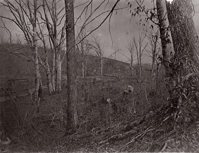 Bull Run, Wirginia, 1861-62. autorstwa George N. Barnard