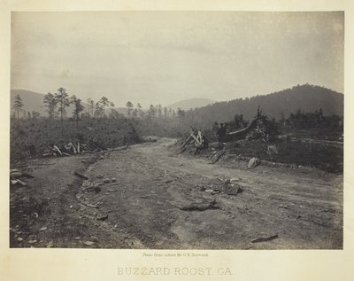 Buzzard Roost, GA autorstwa George N. Barnard