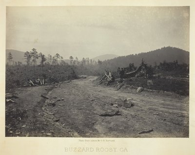 Myszołów Roost, GA, 1866. autorstwa George N. Barnard