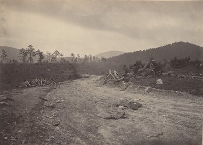 Myszołów Roost, Gruzja, lata 60. XIX wieku. autorstwa George N. Barnard
