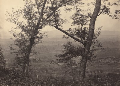 Orchard Gałka z Mission Ridge, 1864-1866. autorstwa George N. Barnard