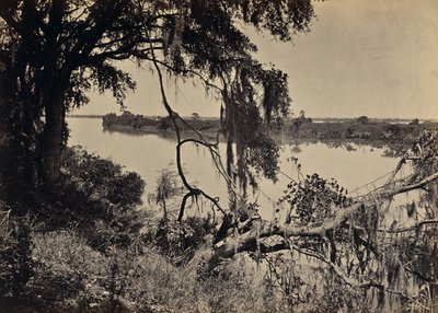[Rzeka Savannah, w pobliżu Savannah, Georgia] autorstwa George N. Barnard