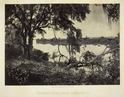 Rzeka Savannah, w pobliżu Savannah, GA autorstwa George N. Barnard