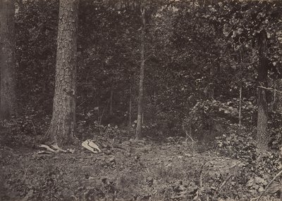 Scena śmierci generała McPhersona, 1864 lub 1866. autorstwa George N. Barnard