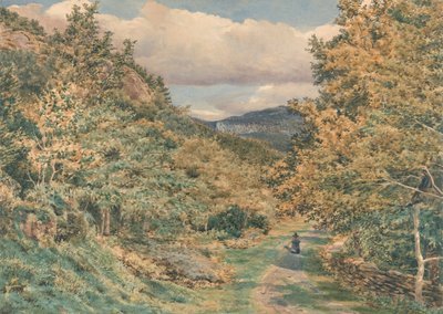 Droga w pobliżu Bettws-y-Coed autorstwa George Price Boyce