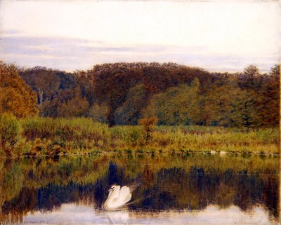 Abinger Mill Pond, Surrey- Poranek późną jesienią (akwarela na papierze) autorstwa George Price Boyce