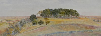 Jedna z kęp Wittenham lub wzgórz Sinodun, Berkshire, ok. 1870–90 (akwarela) autorstwa George Price Boyce
