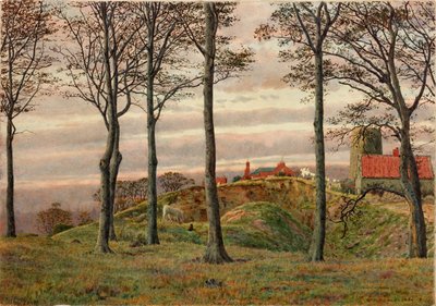 Windmills Hill, Гейтсхед, Польша autorstwa George Price Boyce