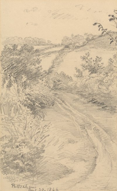 Krzaczasta ulica z polem poza nią autorstwa George Richmond