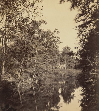 The Dell, 1863 (zdjęcie) autorstwa George Rockwood Gardner