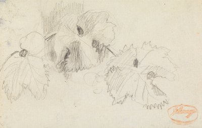 Analiza liści 1 autorstwa George Romney