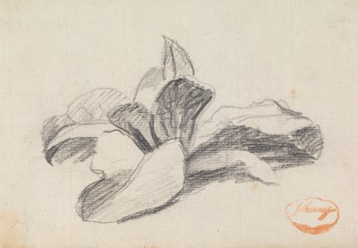 Badanie liści 2 autorstwa George Romney