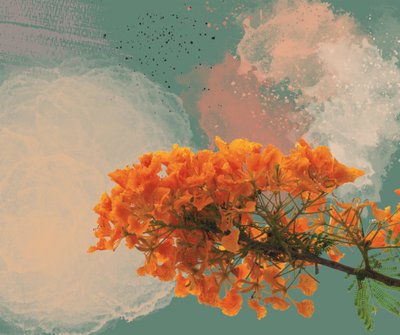 Royal Poinciana „El Flamboyan” (cyfrowa) autorstwa George Rosaly