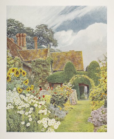 Cleeve Prior, Słoneczniki, ilustracja w „Some English Gardens”, George S. Jekzel Elgood i Gertrude Jekyll autorstwa George Samuel Elgood