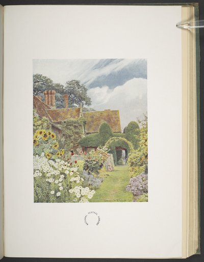 Cleeve Prior, Słoneczniki, ilustracja w „Some English Gardens”, George S. Jekzel Elgood i Gertrude Jekyll autorstwa George Samuel Elgood