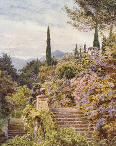 Włoskie ogrody: Wistaria, Villa Cavagnaro (kolorowa litografia) autorstwa George Samuel Elgood