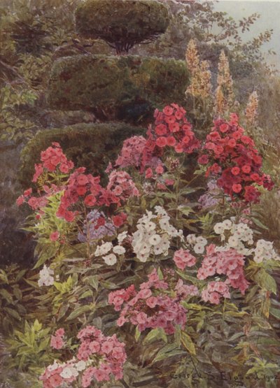 Floks autorstwa George Samuel Elgood