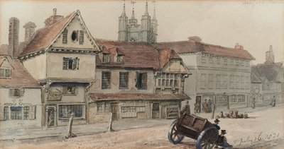 Widok na Ashford autorstwa George Shepherd