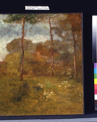 Orange Road, Tarpon Springs (olej na płótnie) autorstwa George Snr. Inness
