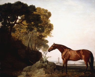 Arab z zatoki w krajobrazie wybrzeża, 1779 autorstwa George Stubbs