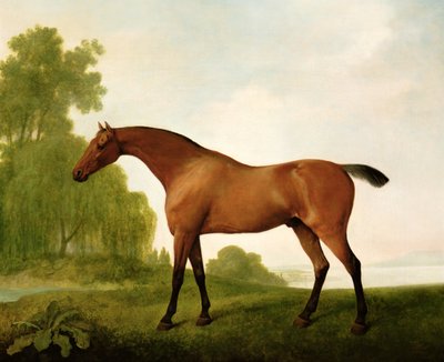 Koń pełnej krwi angielskiej w krajobrazie autorstwa George Stubbs