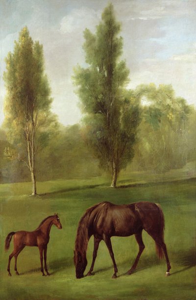 Kasztanowa klacz i źrebię w leśnym krajobrazie, ok. 1761-63 (olej na płótnie) autorstwa George Stubbs