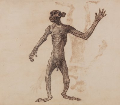 Anatomiczne porównanie budowy ludzkiego ciała z ciałem tygrysa i ptactwa domowego:  Stojąca małpa, widok z przodu autorstwa George Stubbs