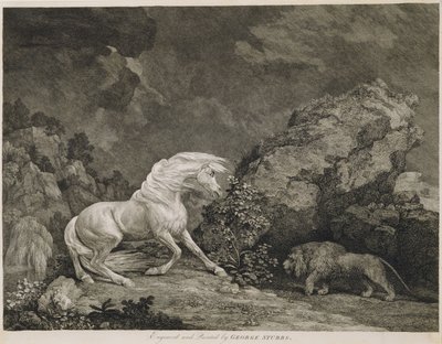 Grawerowany przez artystę koń przestraszony przez lwa autorstwa George Stubbs