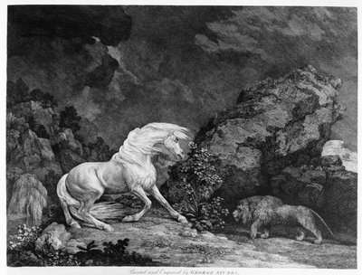 Koń przestraszony przez lwa, rytowany przez artystę, 1777 autorstwa George Stubbs